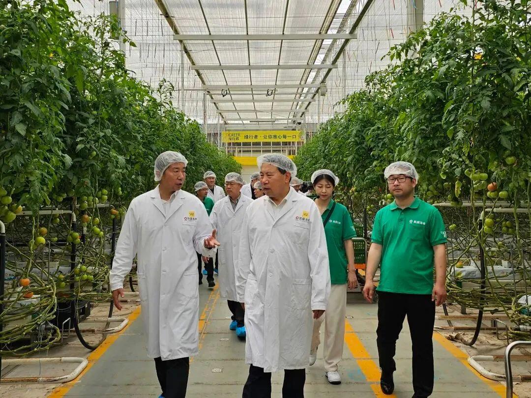 科技賦能農(nóng)業(yè)新篇 劉中會(huì)副主任委員赴凱盛浩豐考察調(diào)研農(nóng)業(yè)種植技術(shù)開(kāi)發(fā)